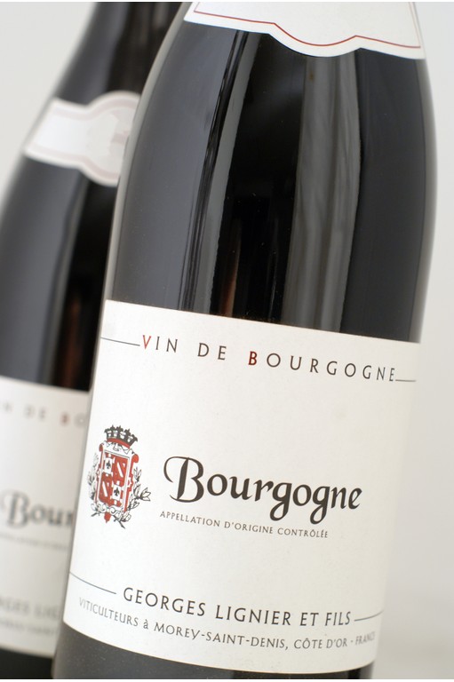 Bourgogne Pinot Noir Georges Lignier 2021 