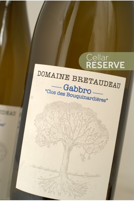 Domaine Bretaudeau Gabbro Muscadet 2023 | Organic 