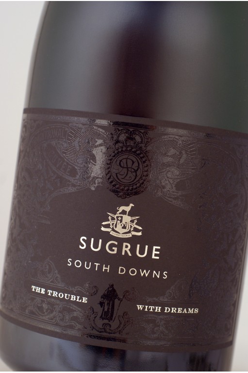 Sugrue The Trouble With Dreams 2020 | Magnum 